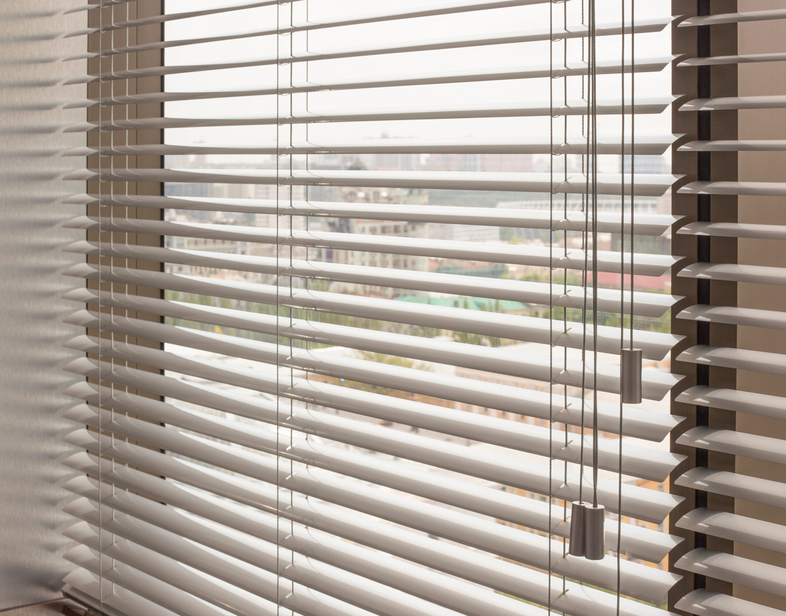 Venetian Blinds